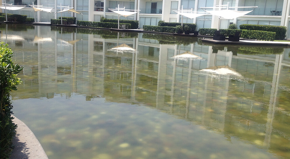 Antes de usar NaturAqua All In One