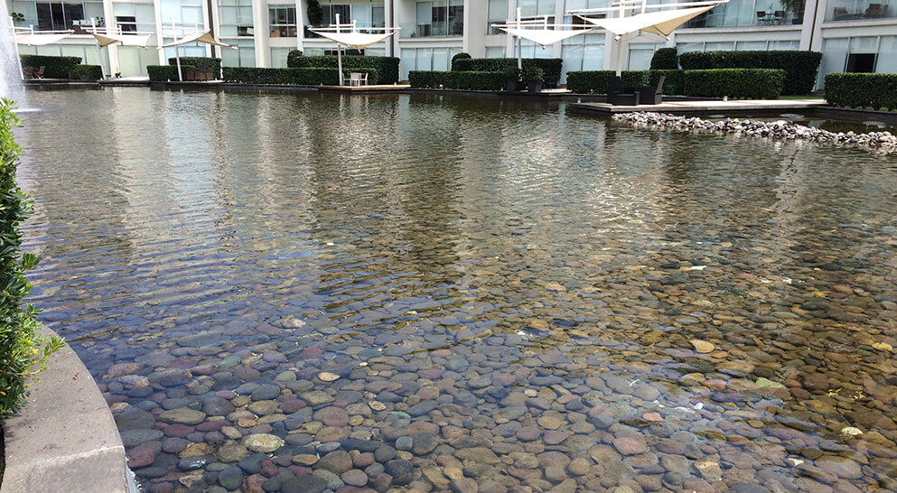 Después de usar NaturAqua All In One